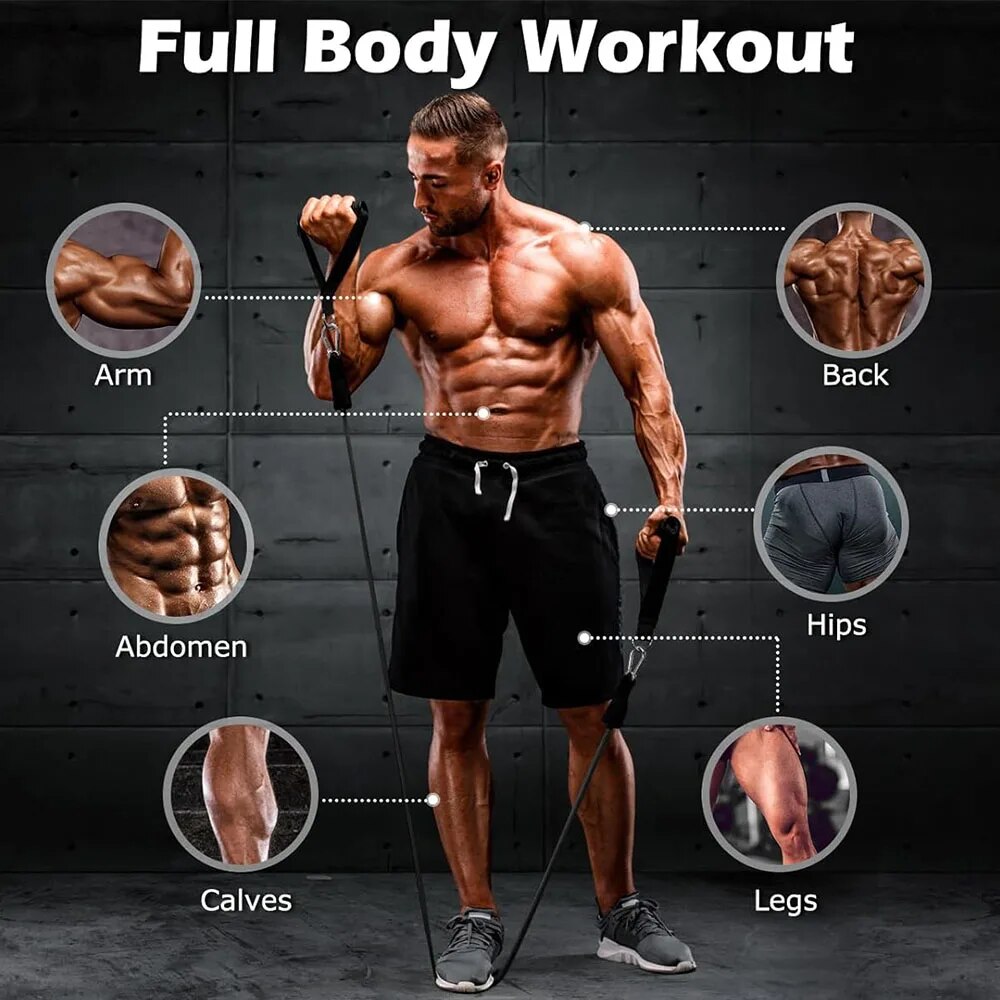 مجموعة أحزمة المقاومة، حبل شد  - مراجعة Home Gym Routine وسعره